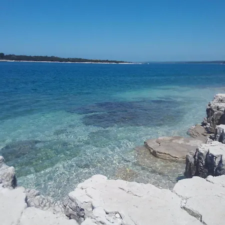 Batcave アパート *